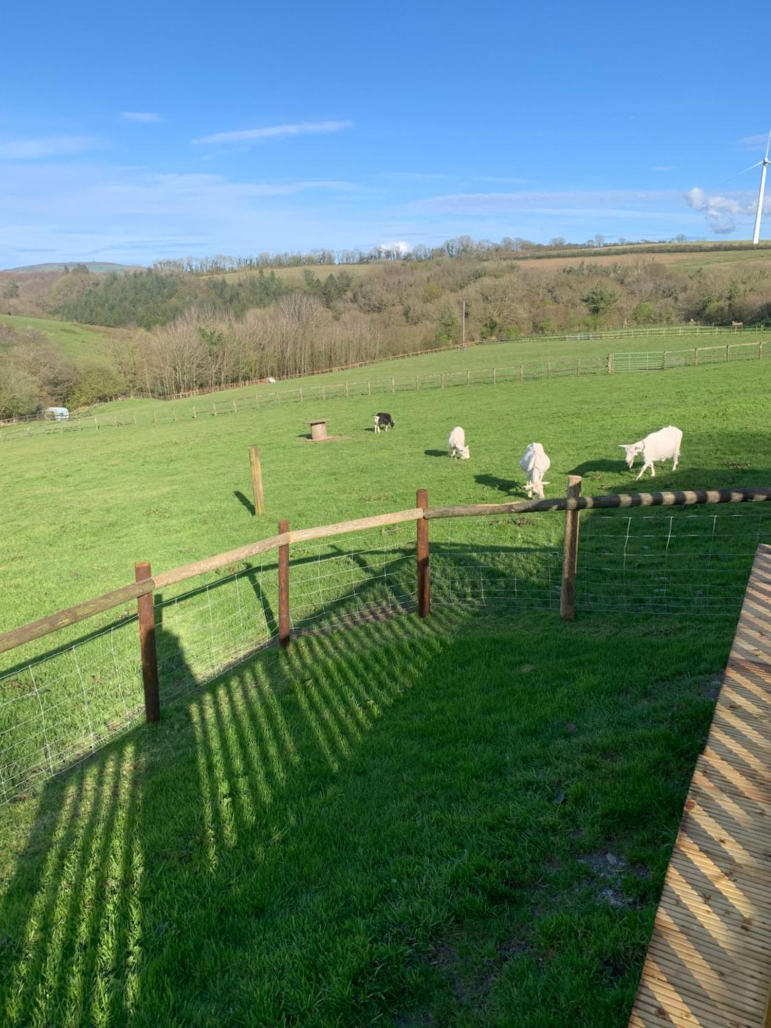 Brook Lodge 2 Liskeard Bagian luar foto